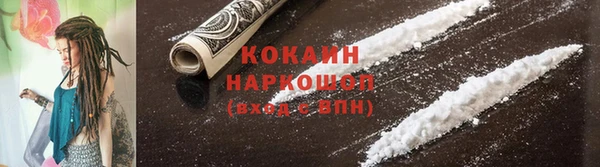 прущие грибы Беломорск