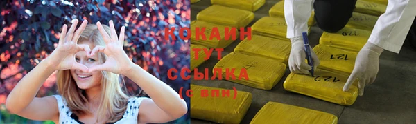 мяу мяу мука Белокуриха