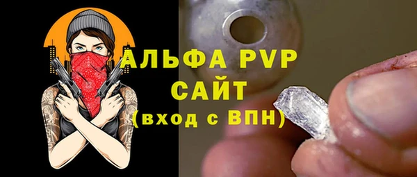 прущие грибы Беломорск
