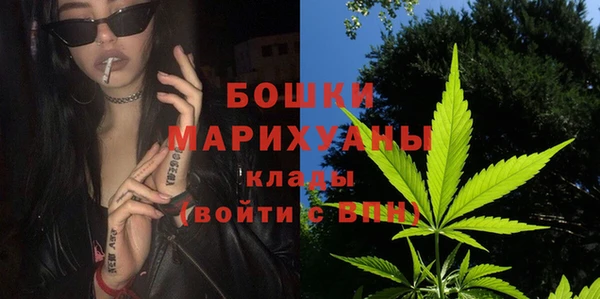 прущие грибы Беломорск