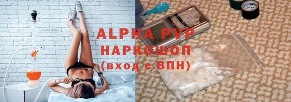 прущие грибы Беломорск