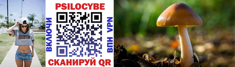 Псилоцибиновые грибы мухоморы  Раменское 